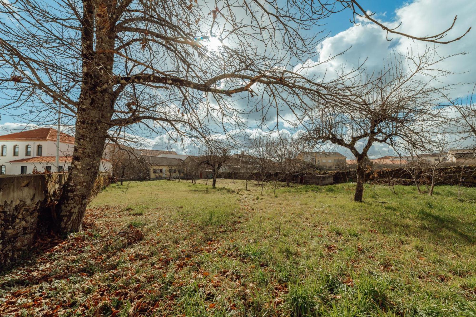 Casa Do Malhadinhas By Vacationy Villa Vila Nova de Paiva Bagian luar foto